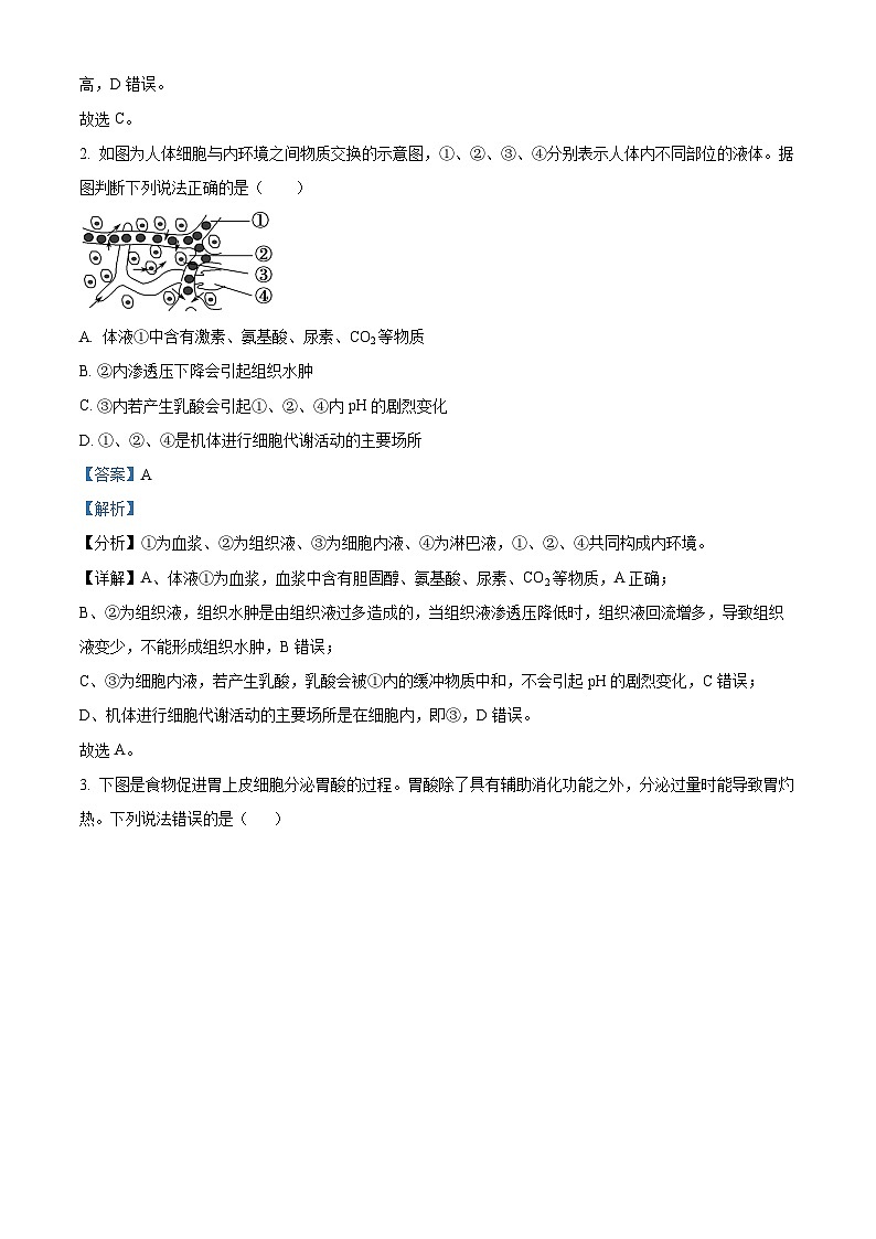 2024荆州沙中学高二上学期9月月考生物试题含解析02