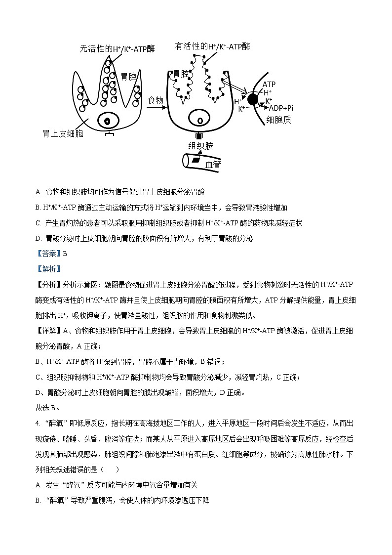 2024荆州沙中学高二上学期9月月考生物试题含解析03
