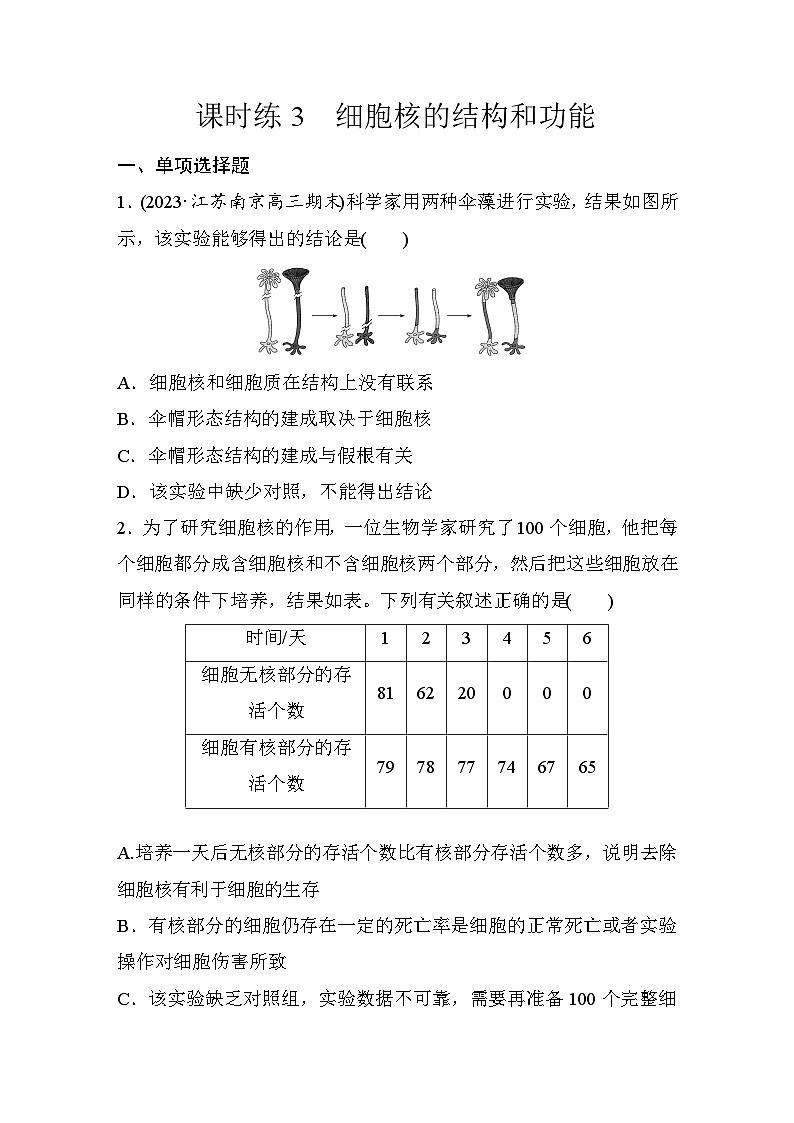 第二单元 细胞的基本结构和物质的运输 课时练3 细胞核的结构和功能(含答案)2024届高三生物一轮复习01