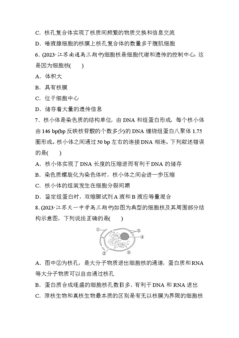 第二单元 细胞的基本结构和物质的运输 课时练3 细胞核的结构和功能(含答案)2024届高三生物一轮复习03