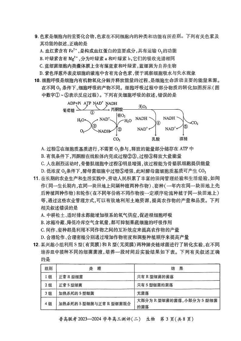 河南省普高联考2023-2024学年高三上学期测评(二)生物试题及答案03