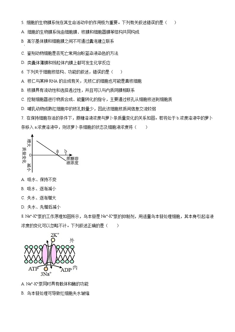 2024云南省下关一中教育集团高二上学期9月月考试题生物含答案、答题卡02