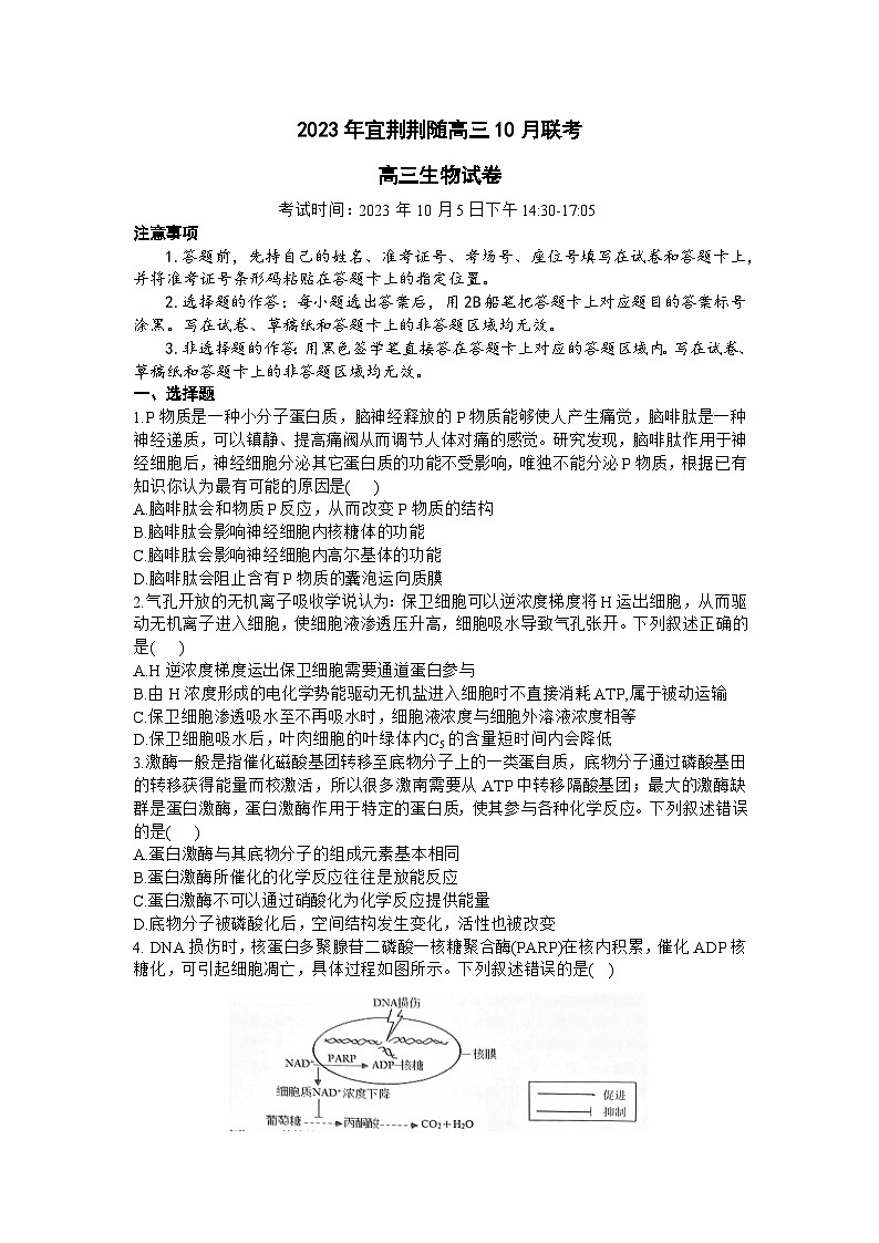 湖北省宜荆荆随2023-2024学年高三上学期10月联考生物试题及答案第1页