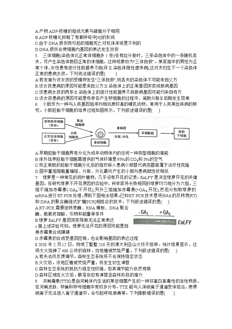 湖北省宜荆荆随2023-2024学年高三上学期10月联考生物试题及答案第2页