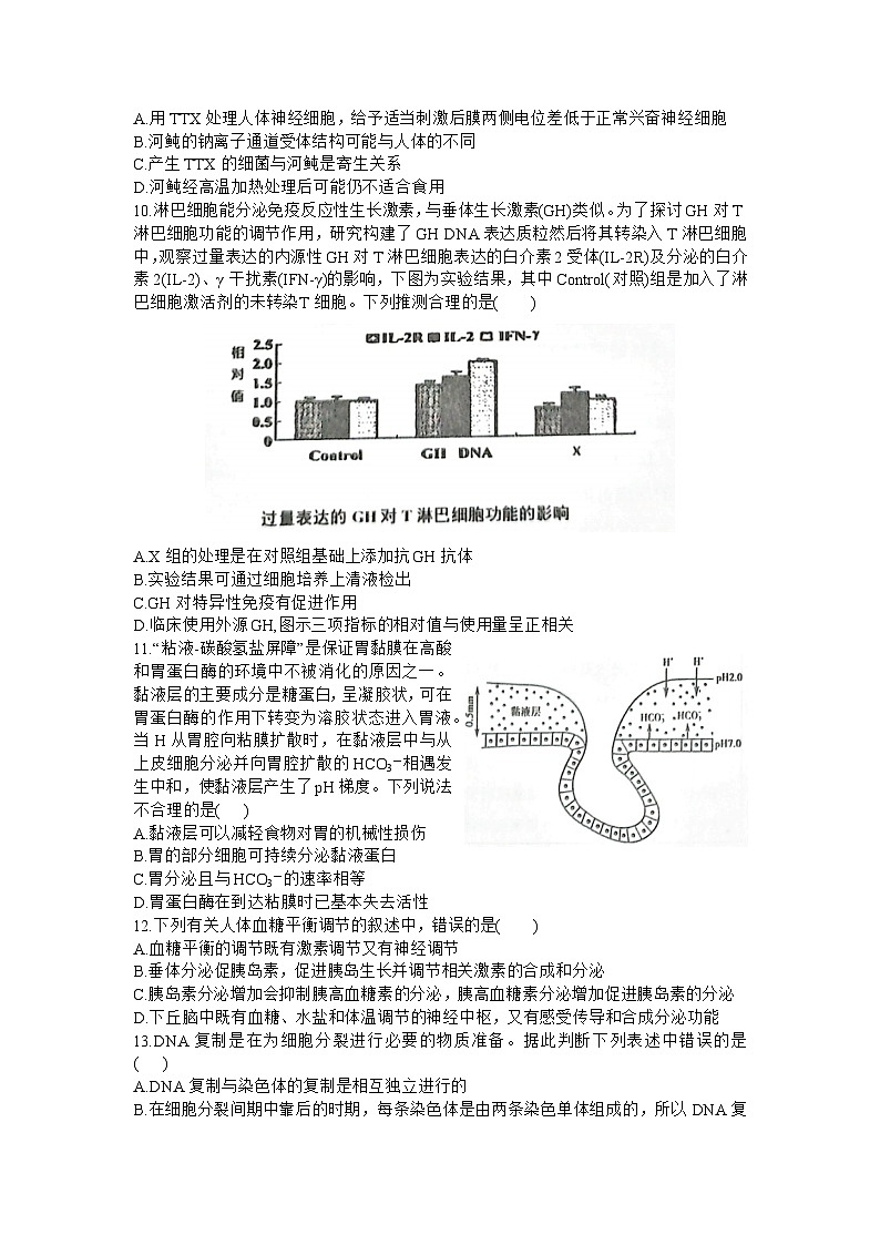 湖北省宜荆荆随2023-2024学年高三上学期10月联考生物试题及答案第3页
