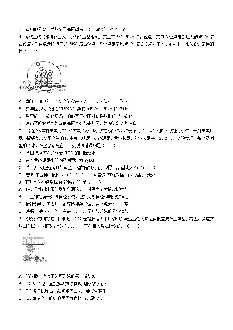 江苏省江浙高中发展共同体2023-2024学年高三10月联考生物试题第3页