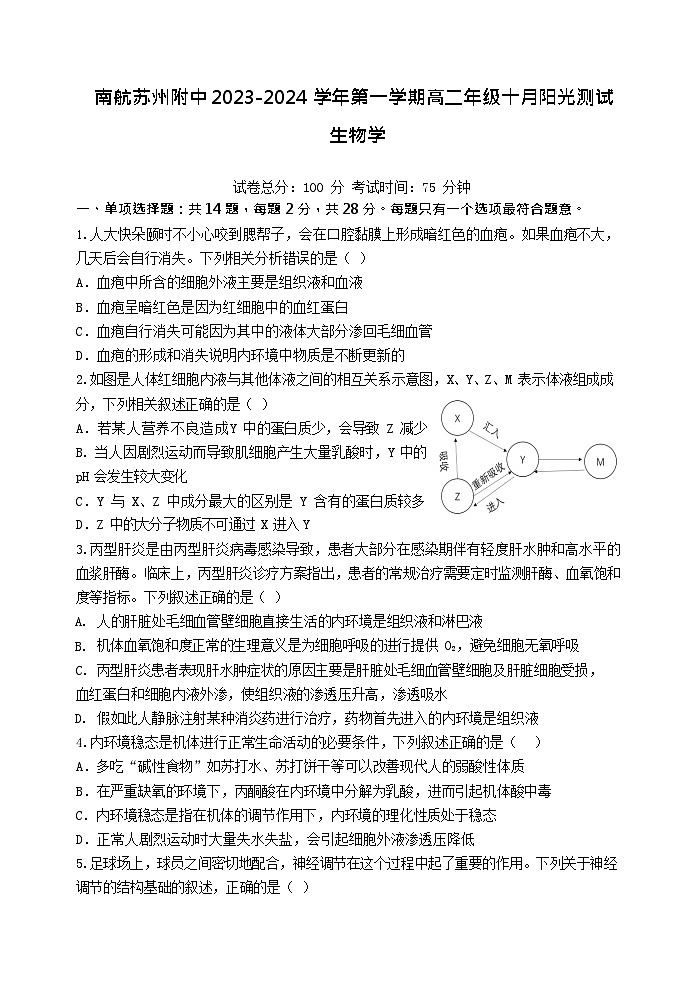 江苏省苏州市南京航空航天大学苏州附属中学2023-2024学年高二上学期10月月考生物试题(月考)01