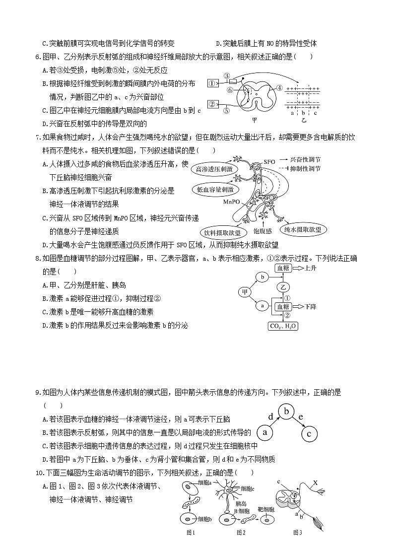 山东省淄博市临淄中学2023-2024学年高二上学期第一次月考生物试题(月考)第2页