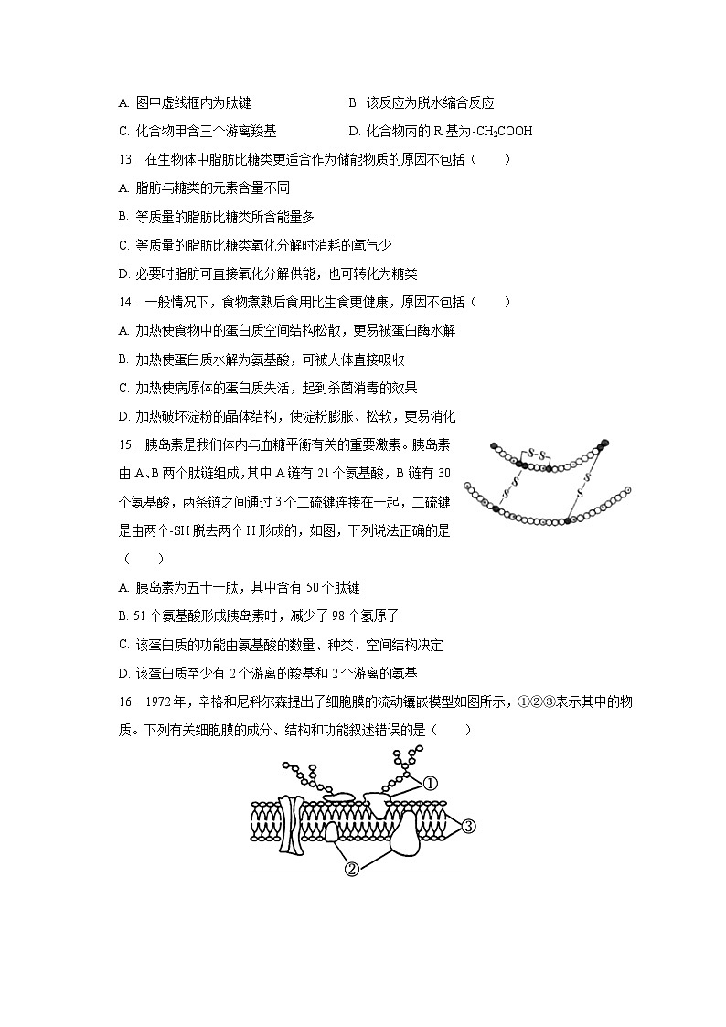 2023-2024学年甘肃省武威市凉州区高三(上)第一次诊断生物试卷(含解析)第3页