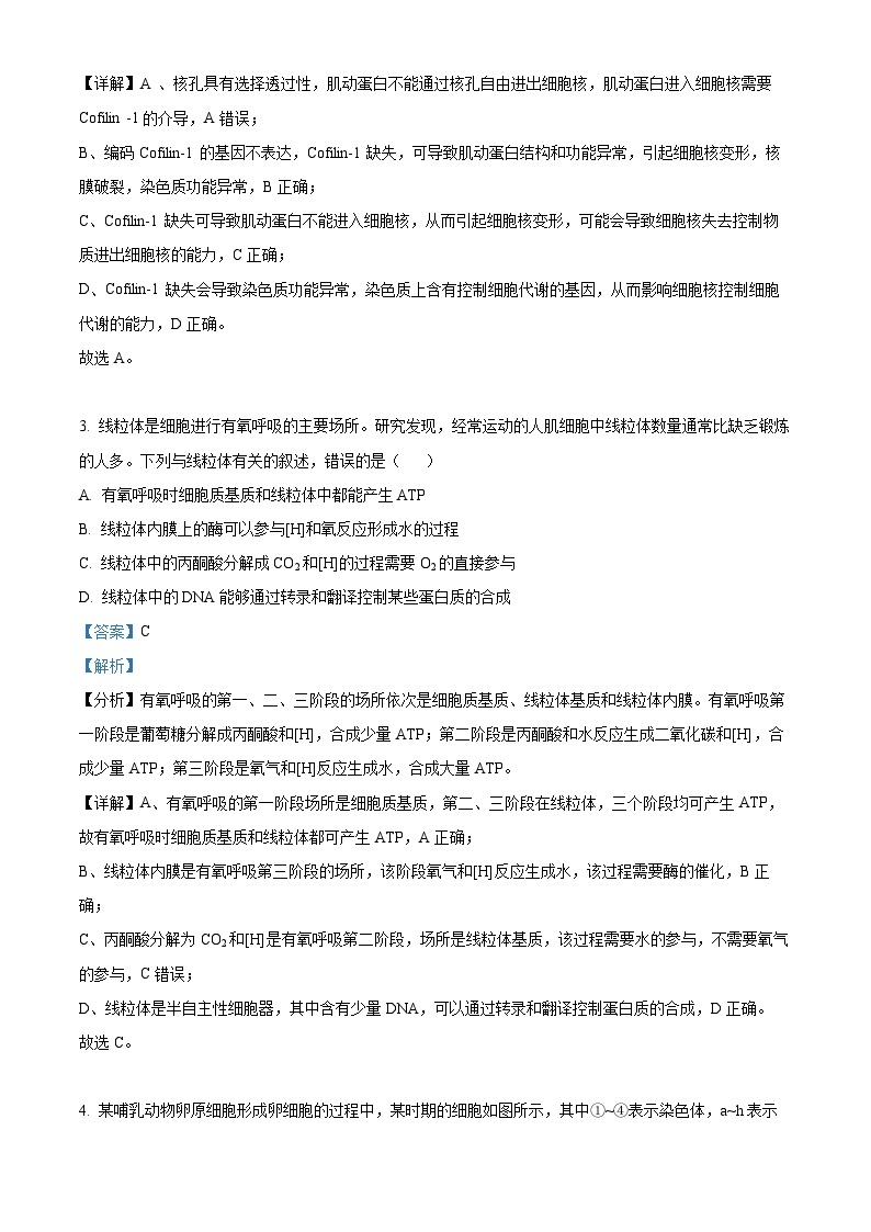 湖北省襄阳市宜城市第一中学2023-2024学年高二生物上学期9月月考试卷（Word版附解析）02