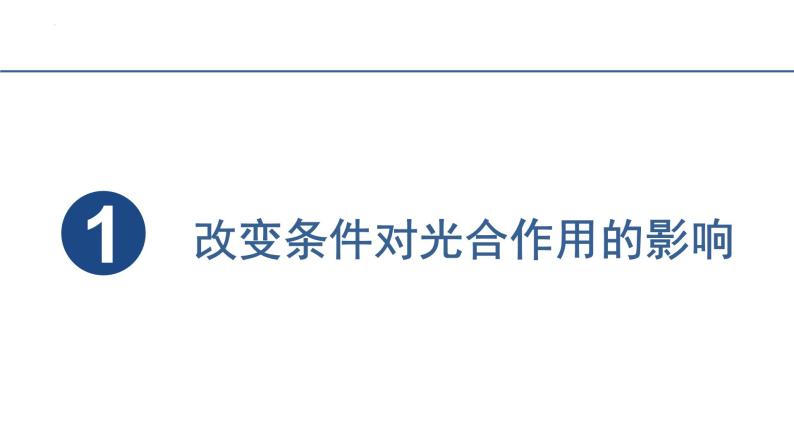 5.4光合作用与能量转化第3课时课件2023-2024学年高一上学期生物人教版必修103