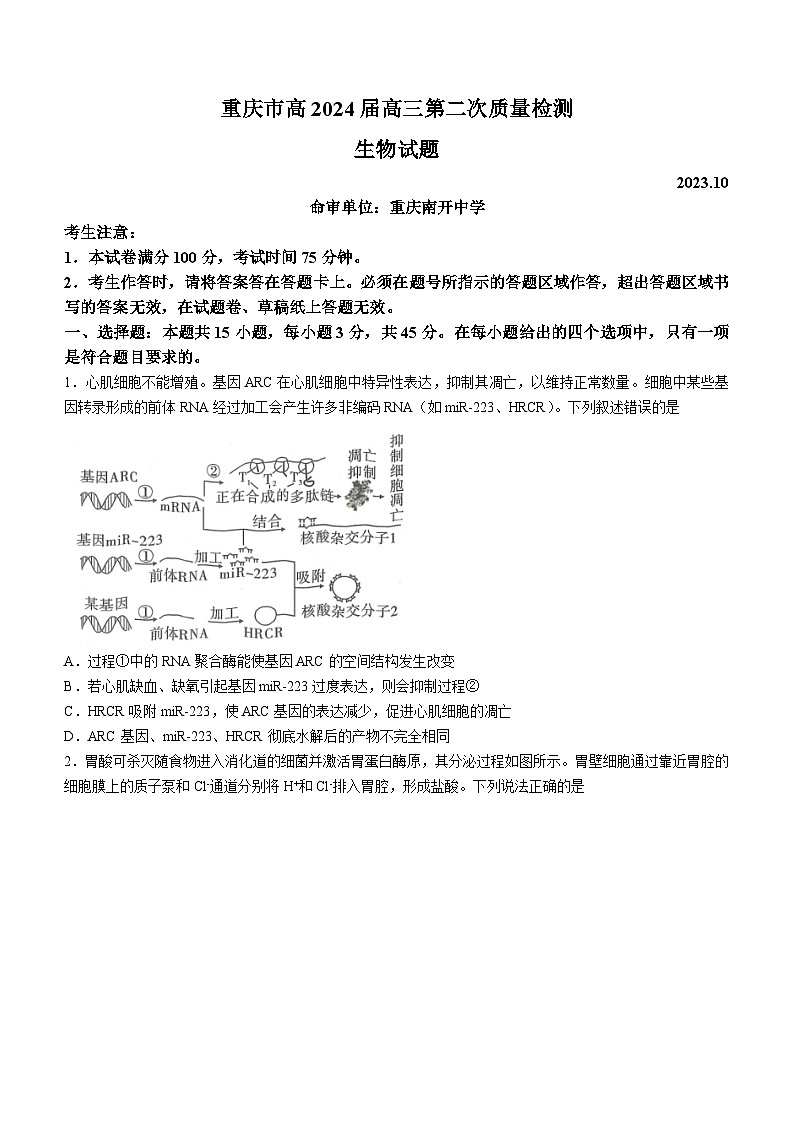 重庆市南开中学2023-2024学年高三10月第二次质量检测生物试题第1页