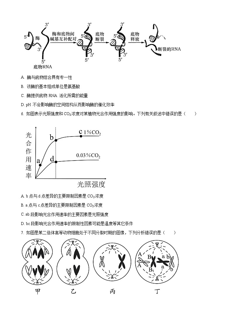 贵州省铜仁市思南中学2023-2024学年高三上学期第二次月考生物试题无答案第2页