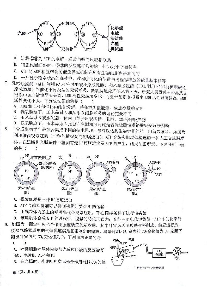 甘肃省白银市靖远县第四中学2023-2024学年高三上学期9月月考生物试题第2页