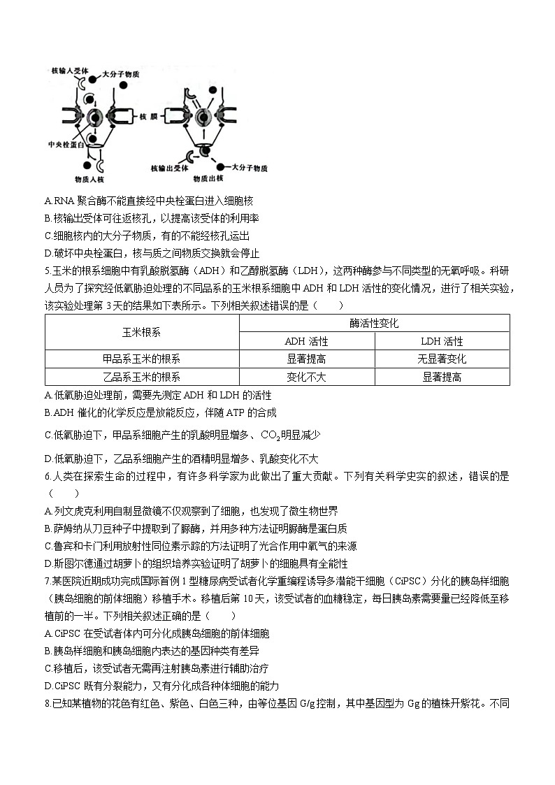 江西省稳派联考2023-2024学年高三10月统一调研测试生物试题第2页