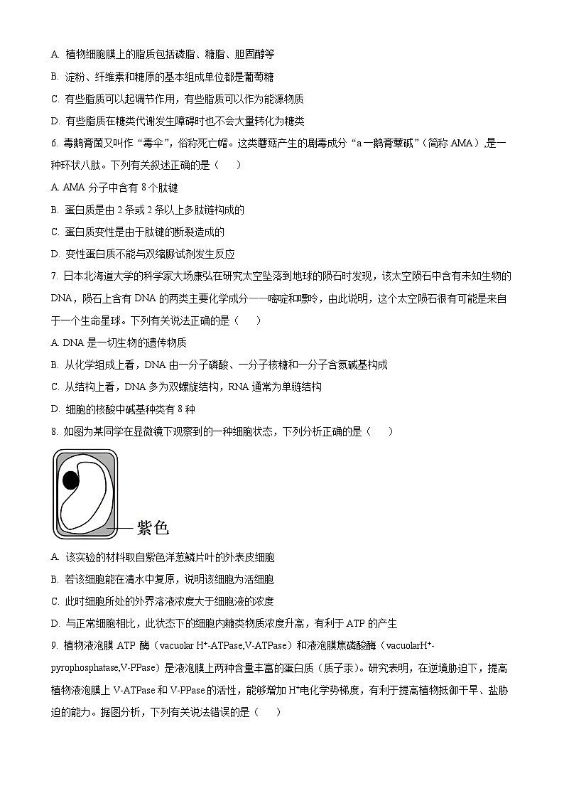甘肃省张掖市高台县第一中学2023-2024学年高三生物上学期9月月考试题(Word版附答案)第2页