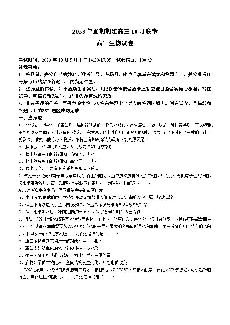 湖北省宜荆荆随2023-2024学年高三生物上学期10月联考试题(Word版附解析)01