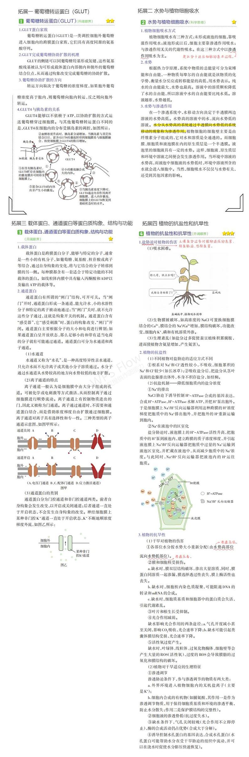 1_专题三 细胞的物质输入和输出 拓展第1页