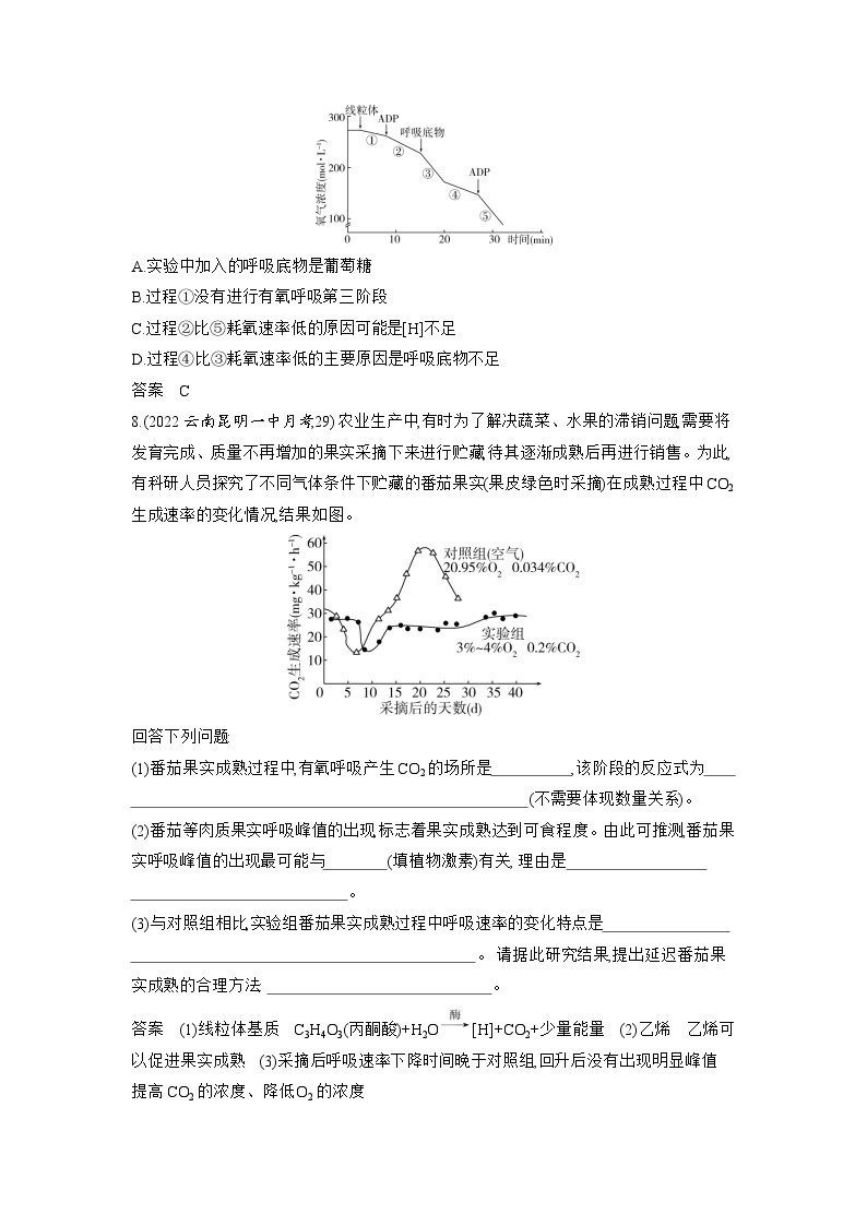 5_专题五细胞呼吸03