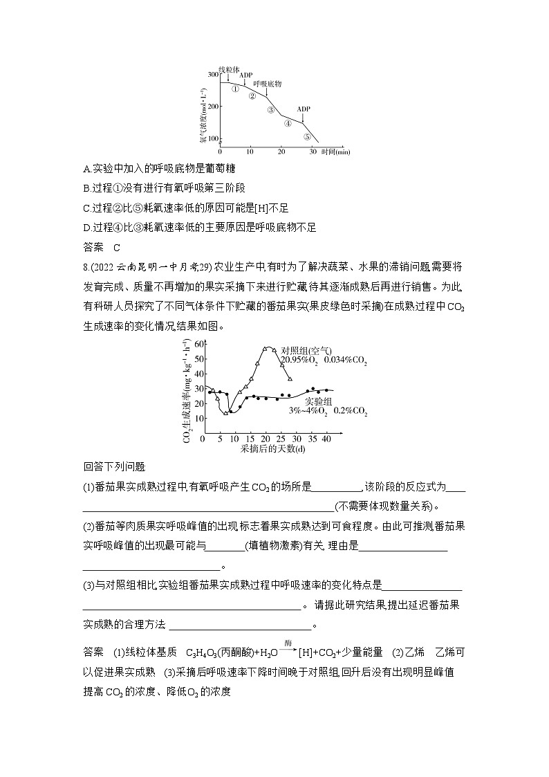 5_专题五细胞呼吸03