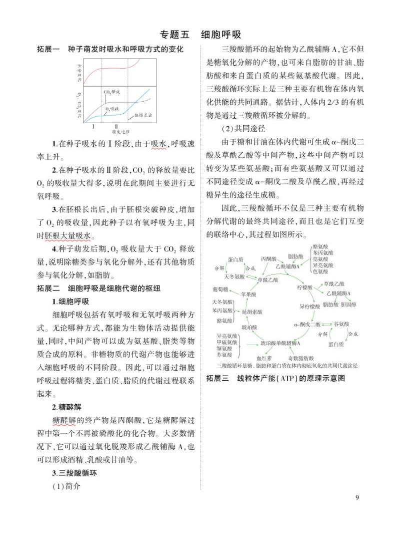 5_专题五细胞呼吸01