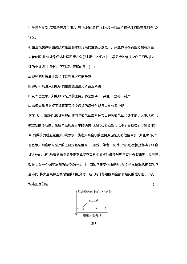 7_专题七细胞的增殖03