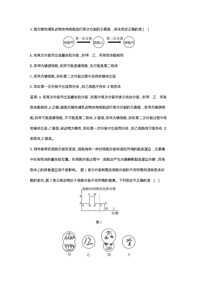 1_09-专题九 遗传的细胞基础第3页