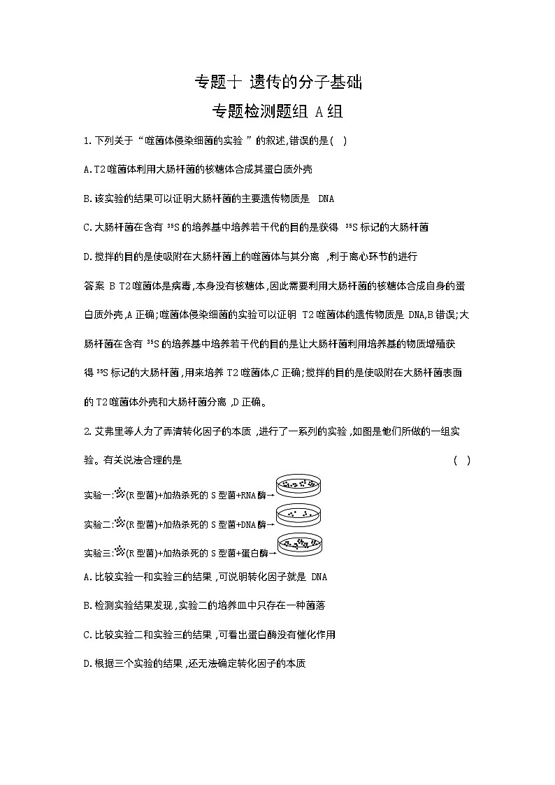 1_10-专题十 遗传的分子基础第1页