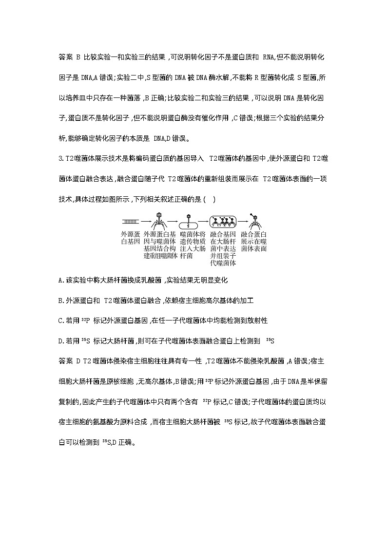 1_10-专题十 遗传的分子基础第2页