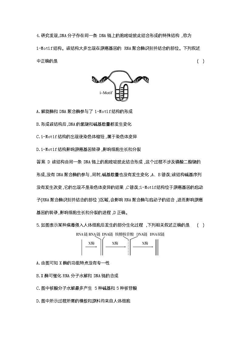 1_10-专题十 遗传的分子基础第3页