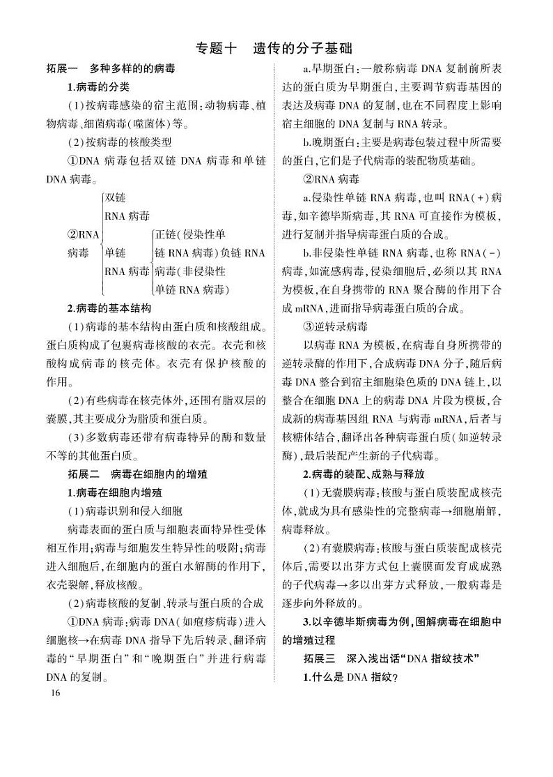 1_专题十 遗传的分子基础 拓展第1页