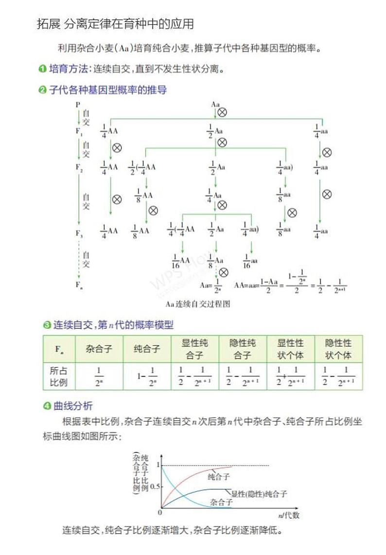 1_专题十一 基因的分离定律 拓展第1页