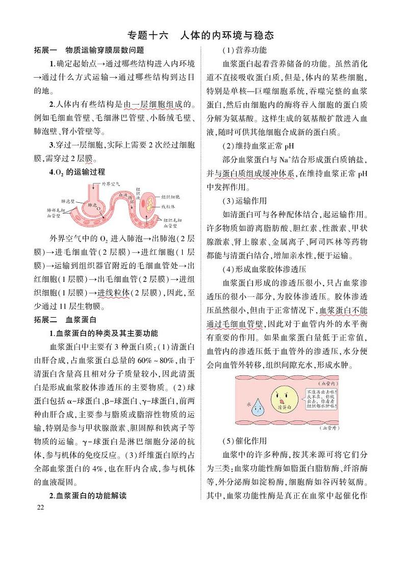 1_专题十六 人体的内环境与稳态 拓展第1页