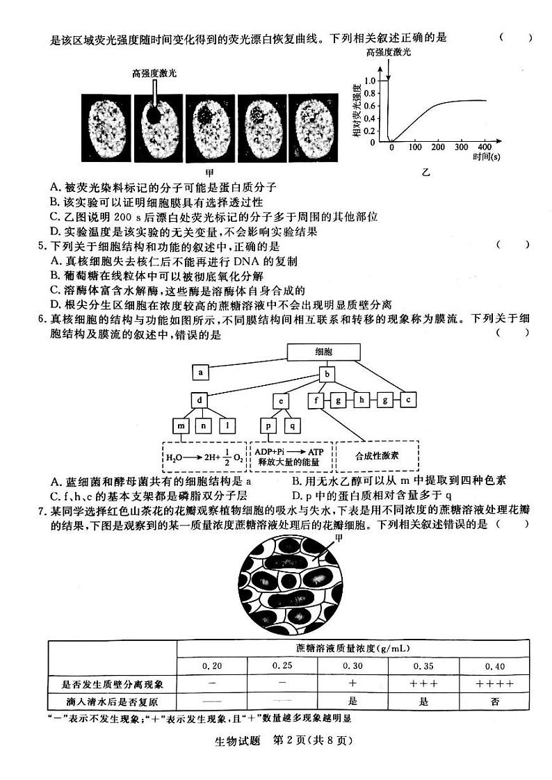 2024河南省青桐鸣大联考高三上学期10月模拟预测生物PDF版含答案02