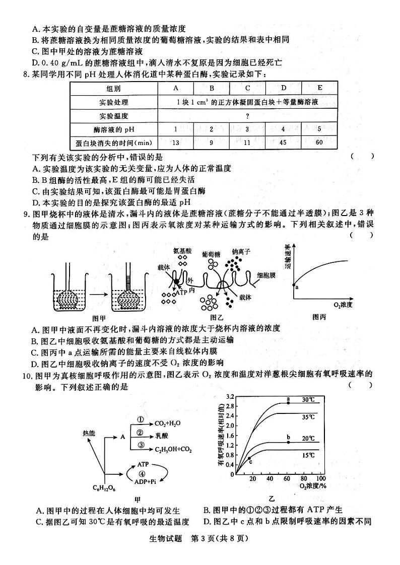 2024河南省青桐鸣大联考高三上学期10月模拟预测生物PDF版含答案03