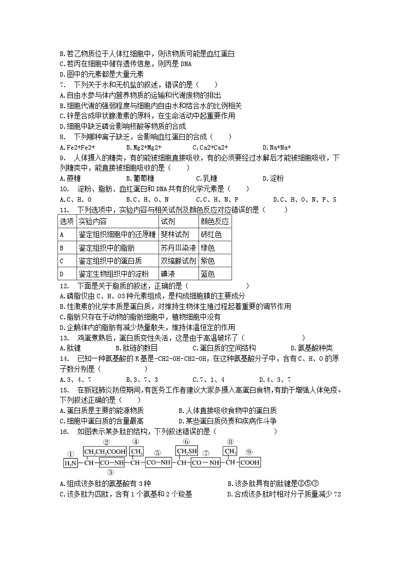 浙江省宁波市城南学校2023-2024学年高一上学期10月月考生物试卷第2页