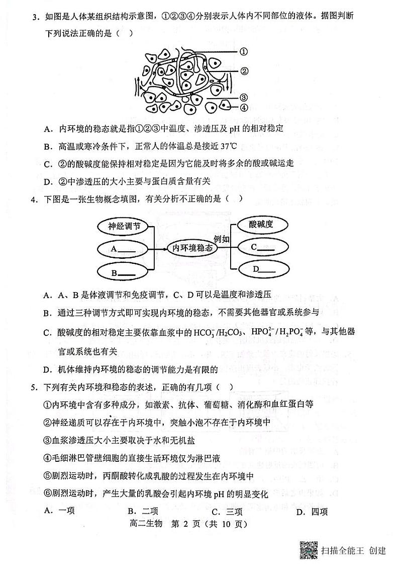 辽宁省重点高中沈阳市郊联体2023-2024学年高二上学期10月月考生物试题(月考)第2页