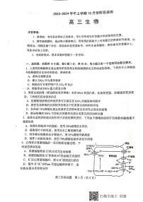山东省潍坊五县市2023-2024学年高三上学期10月阶段监测生物试题+