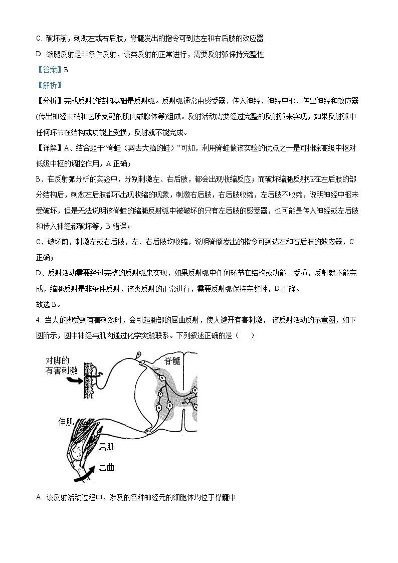 安徽省十校联盟2022-2023学年高二生物11月期中联考试题（Word版附解析）03