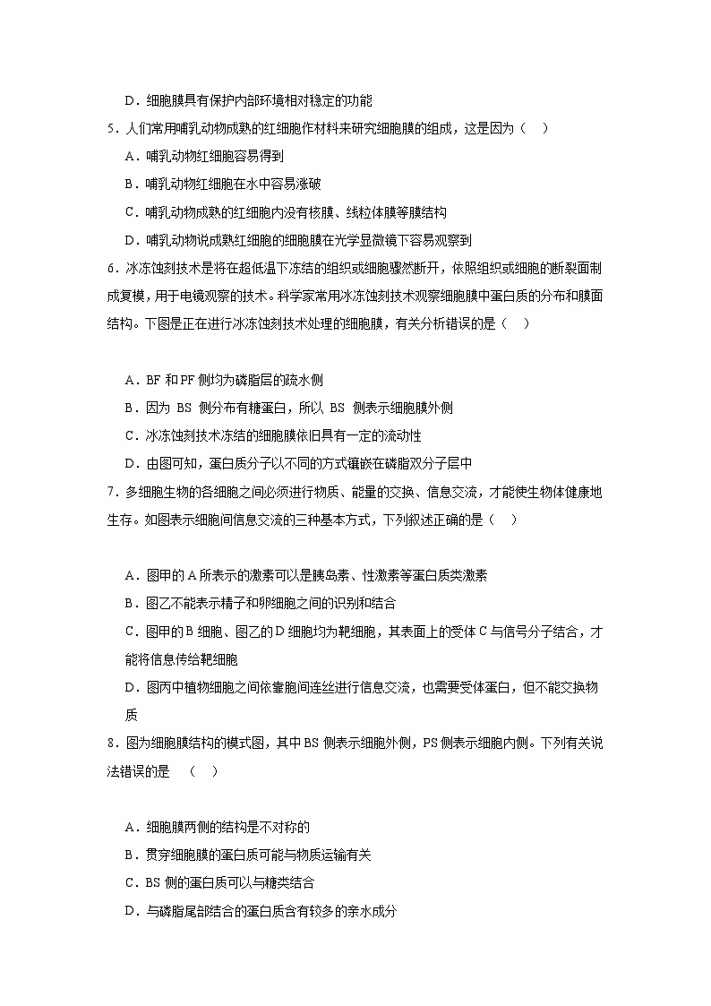 【期中模拟卷】（人教版）2023-2024学年高一上学期生物 必修1 第三章 细胞的基本结构 基础卷.zip02