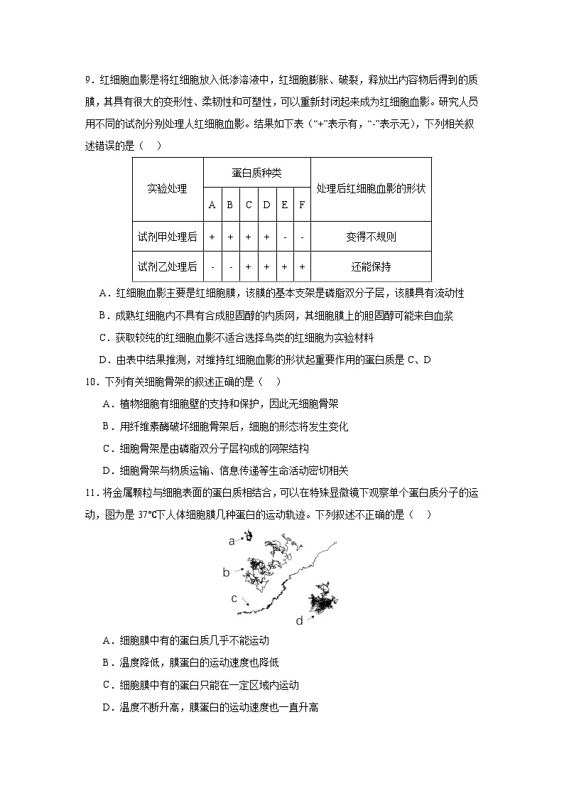 【期中模拟卷】（人教版）2023-2024学年高一上学期生物 必修1 第三章 细胞的基本结构 基础卷.zip03