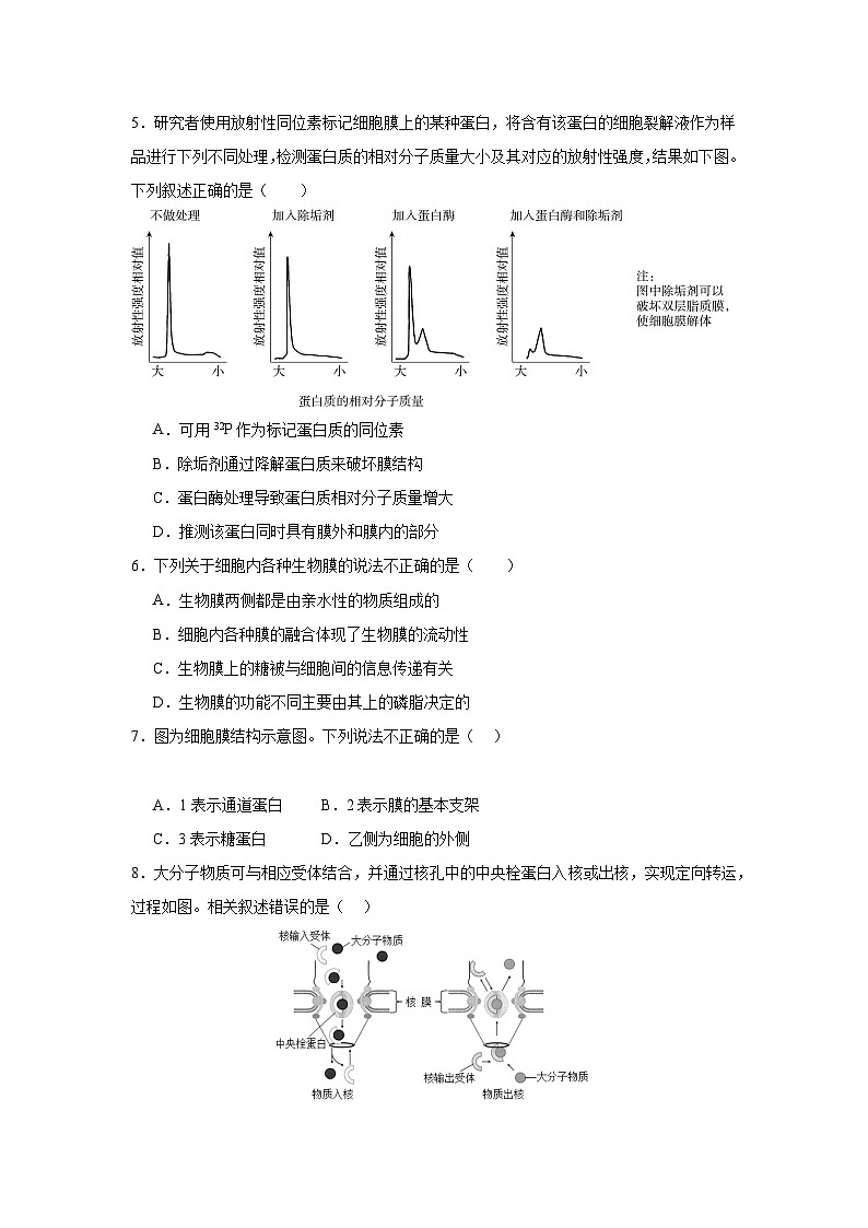 【期中模拟卷】(人教版)2023-2024学年高一上学期生物 必修1 第三章 细胞的基本结构 提升卷.02