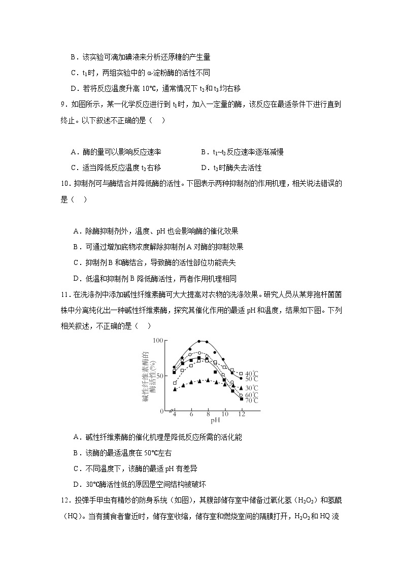 【期中模拟卷】（人教版）2023-2024学年高一上学期生物 必修1 第五章 细胞的能量供应与利用（一) 提升卷.zip03