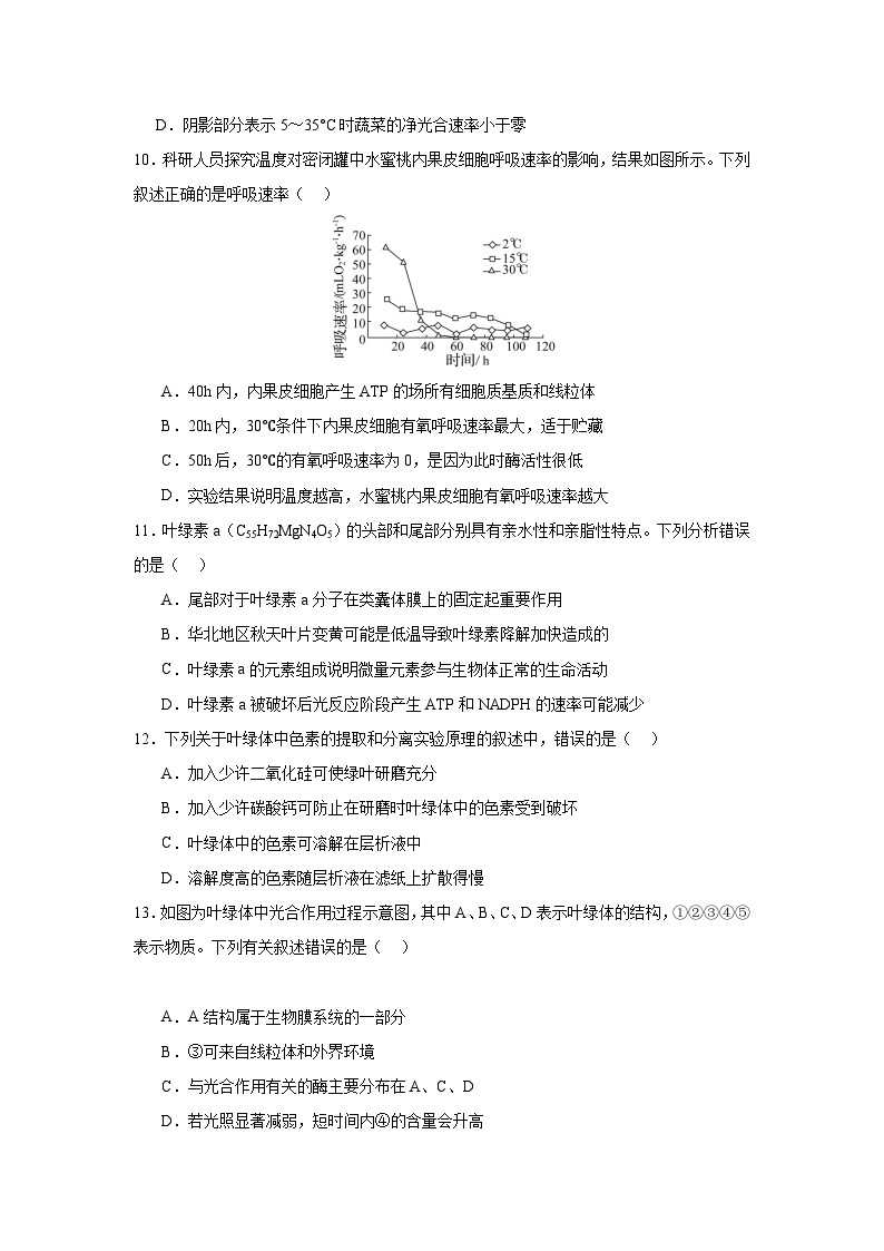 【期中模拟卷】（人教版）2023-2024学年高一上学期生物 必修1 第五章 细胞的能量供应与利用（二) 基础卷.zip03