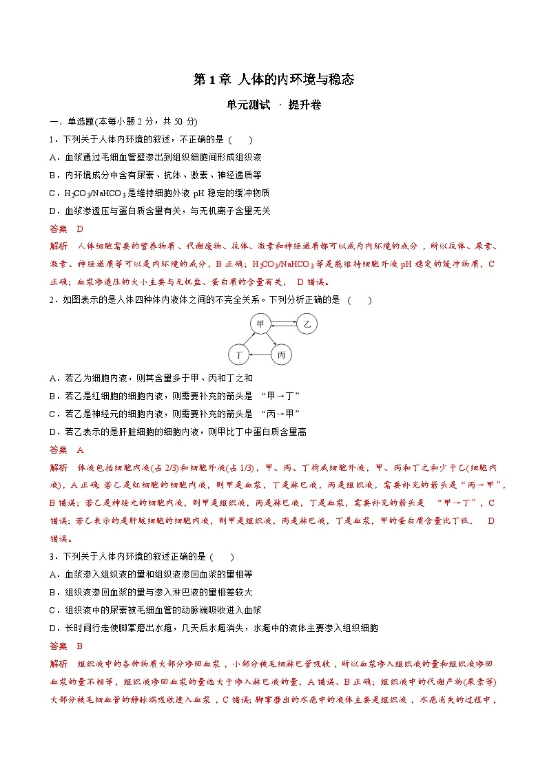 【期中模拟卷】（人教版2019）2023-2024学年高二上学期生物 选择性必修1 第1章 人体的内环境与稳态提升测试卷.zip01