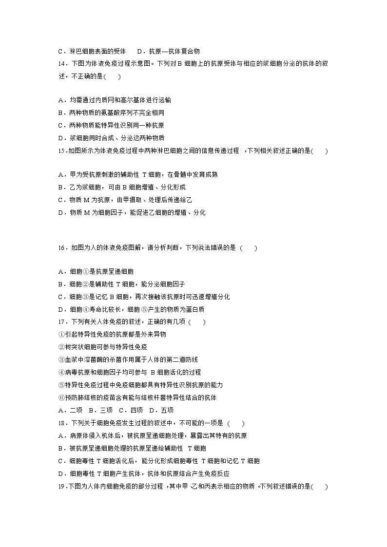 【期中模拟卷】（人教版2019）2023-2024学年高二上学期生物 选择性必修1 第4章免疫调节基础测试卷.zip03