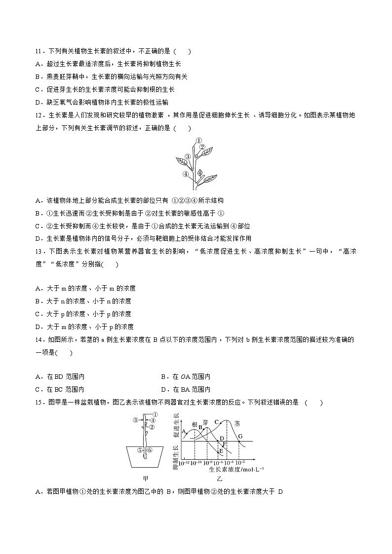 【期中模拟卷】(人教版2019)2023-2024学年高二上学期生物 第5章 植物生命活动的调节 基础卷(原卷版)第3页