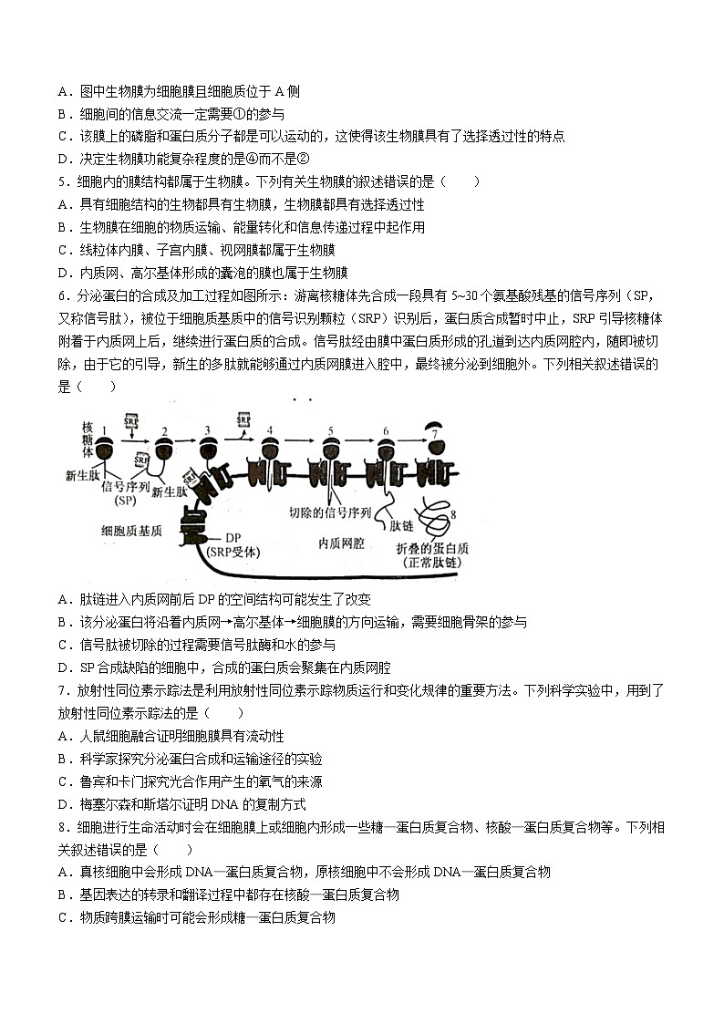 河南省TOP二十名校2023-2024学年高三上学期调研考试四生物试题第2页