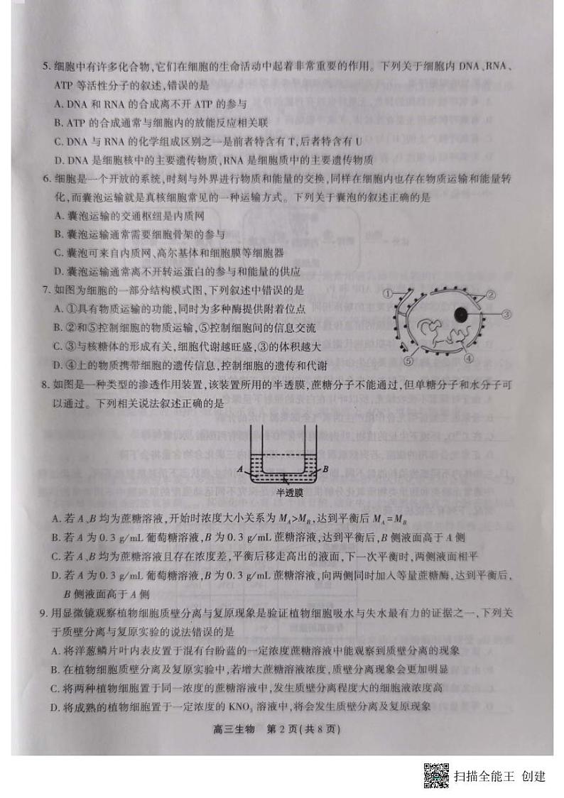 2024安徽省高三上学期百校大联考试题(一模)生物PDF版含解析02