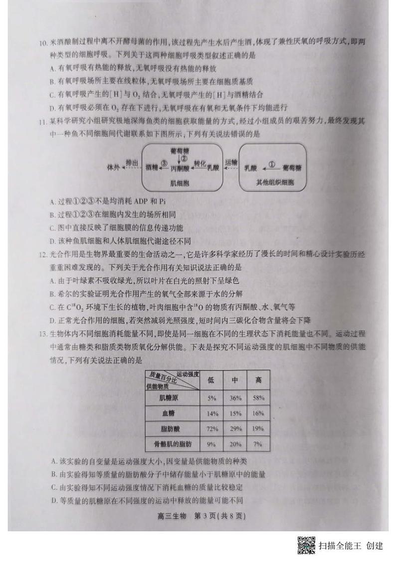 2024安徽省高三上学期百校大联考试题(一模)生物PDF版含解析03